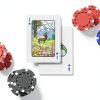 99FOX National Park Cards Black Core 52 Deck-2