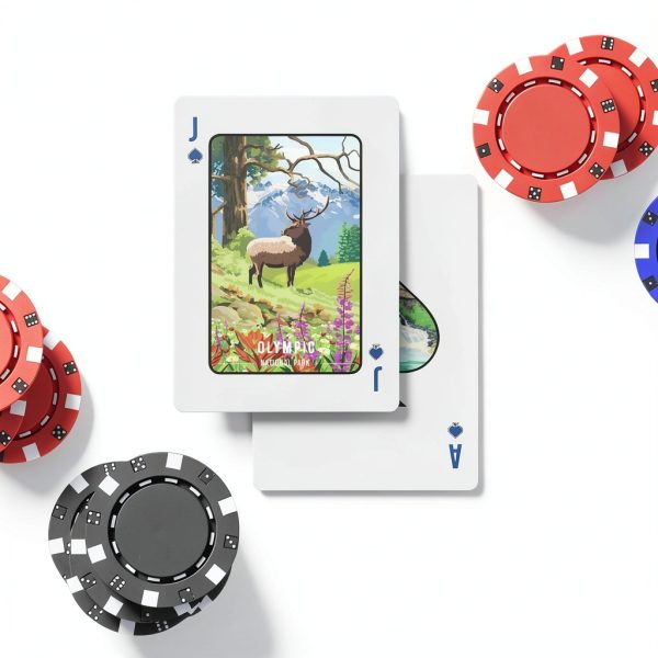 99FOX National Park Cards Black Core 52 Deck-2