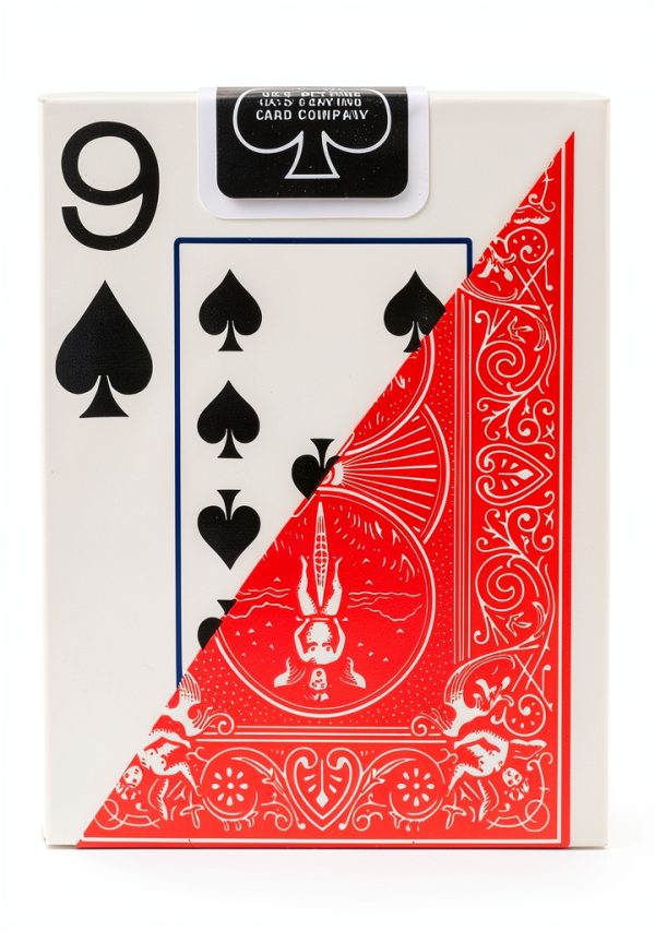 Bicycle Pinochle Cards Large Numbers Air Cushion-3