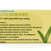 Bicinchoninic Acid BCA Protein Assay Kit Cepham Sciences 500 Assays-1
