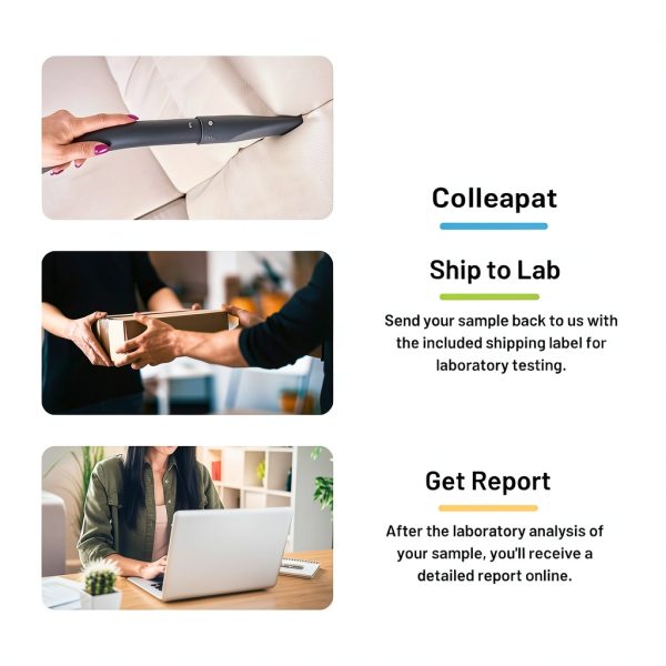 Cat Allergen Test by SimpleLab Pet Kit Single Contaminant Lab Report-3