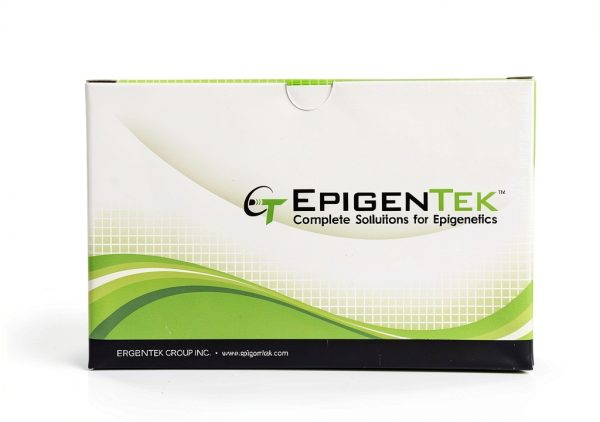 EpiQuik Global Di-Methyl Histone H3K9 Quantification Kit (Colorimetric) - 48 Assays-0