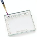 DNA DuraGel Assay Kit for 12-24 Students by BIOLOGIX – Polymer Gels-0