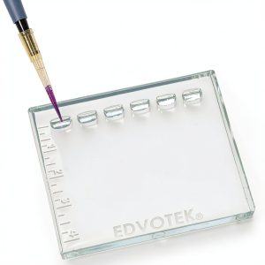 DNA DuraGel Assay Kit for 12-24 Students by BIOLOGIX – Polymer Gels-0
